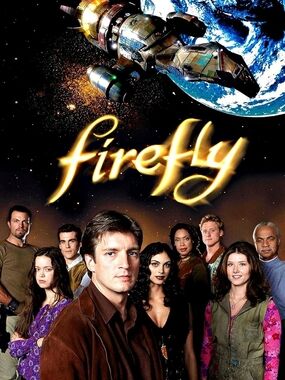 Firefly Custom Fridge Magnet Office Home Kitchen Decor